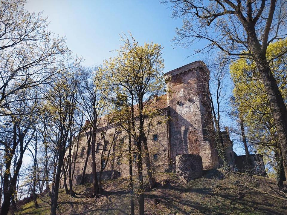 Zamek Otmuchow Exterior photo